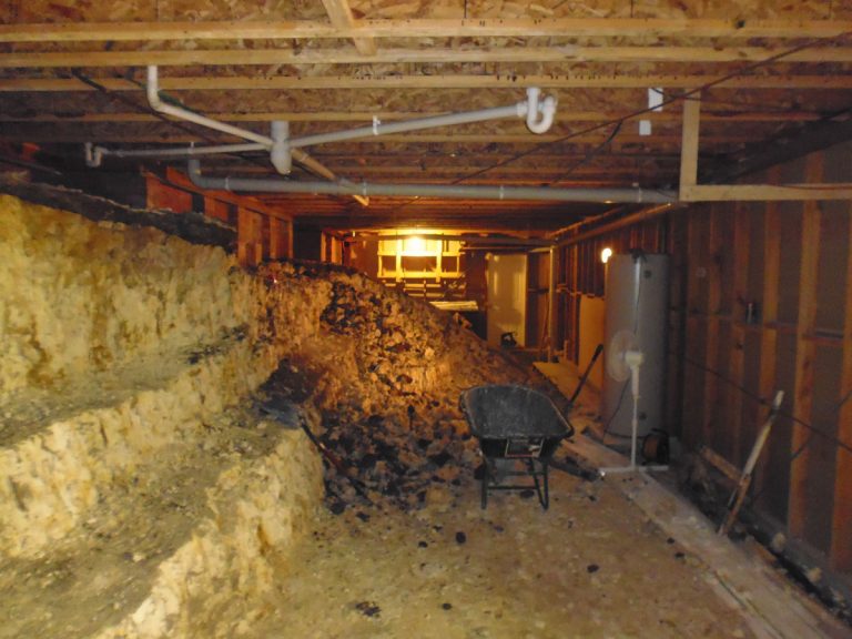 Amethyst Basement Renovation - Before