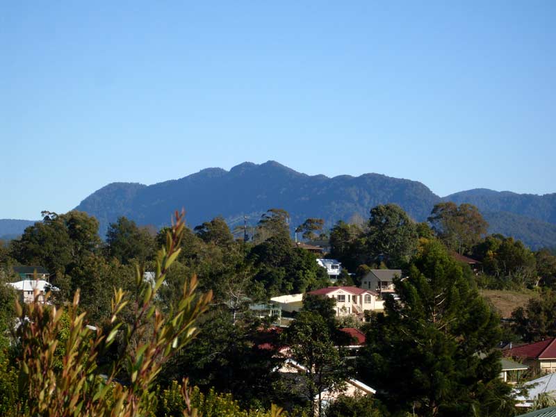 Photo of Old Man Dreaming, Bellingen   NSW.